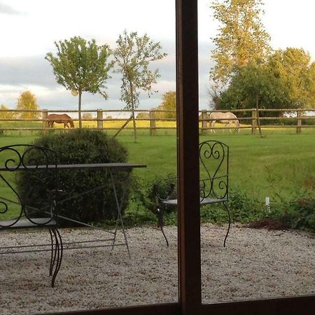 Bed and Breakfast Haras Des Leudets à Blangy-le-Château Extérieur photo